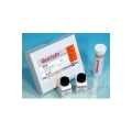 QUANTOFIX® ZINCO Strisce analitiche per la determinazione semi-quantitativa - range 0-100 mg/l cf.100 strisce MN 91310