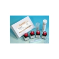 QUANTOFIX® ARSENICO 10 Strisce analitiche per la determinazione semi-quantitativa range 0,0-0,5 mg/l cf.100 strisce MN 91334