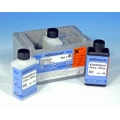 NANOCOLOR® Set di reattivi standard Silice Macherey Nagel 91848