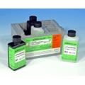 NANOCOLOR® Set di reattivi standard Orto Fosfati Macherey Nagel 91877